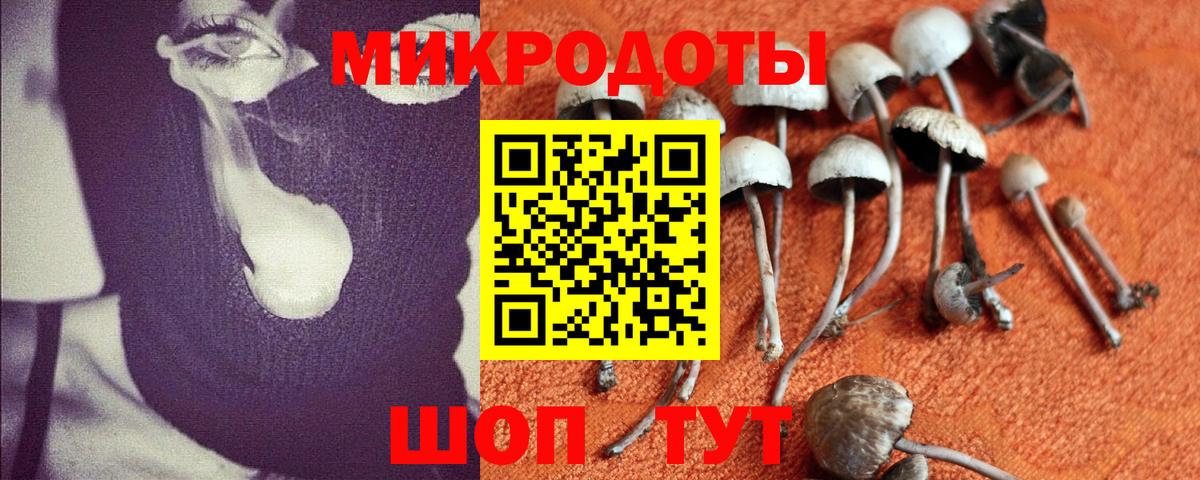 Псилоцибиновые грибы MAGIC MUSHROOMS Саянск