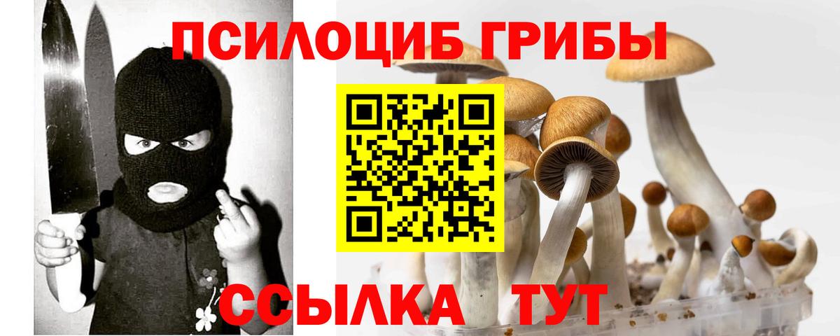 Саянск  Галлюциногенные грибы Psilocybine cubensis  Галлюциногенные грибы Magic Shrooms  Вход с VPN 